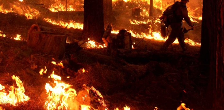 Assurance habitation et incendie de forêt : quelles sont les protections ?