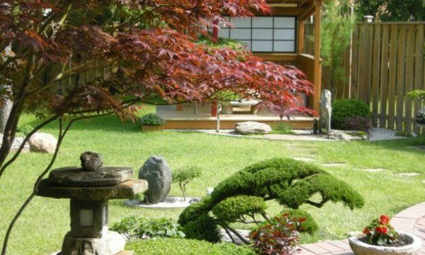 Jardin zen : les indispensables !