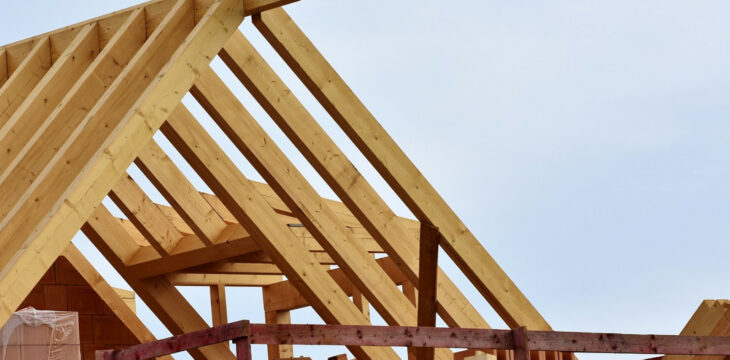 Pourquoi choisir de faire bâtir votre maison avec un constructeur ?